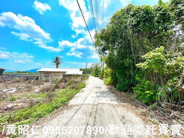 台南農地-6