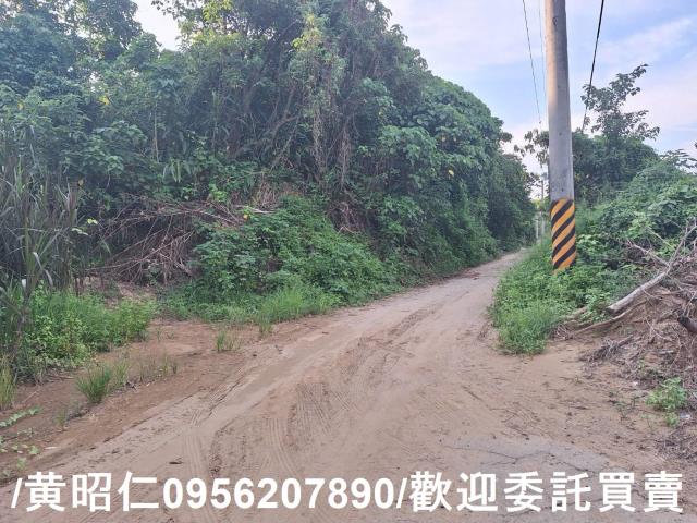 台南歸仁農地-9