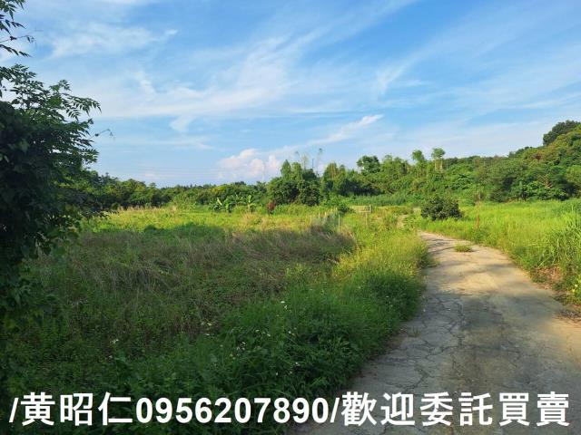 台南歸仁農地-10
