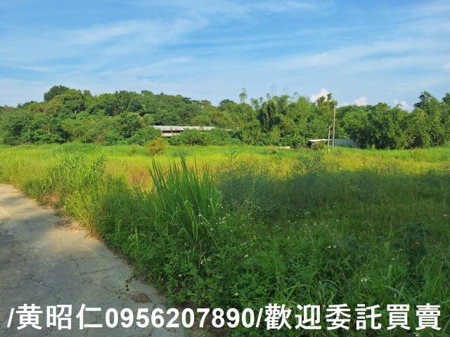 台南歸仁農地-11