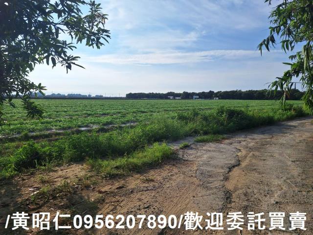 台南歸仁農地-12