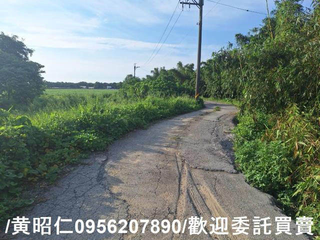台南歸仁農地-13
