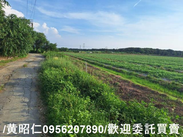 台南歸仁農地-0