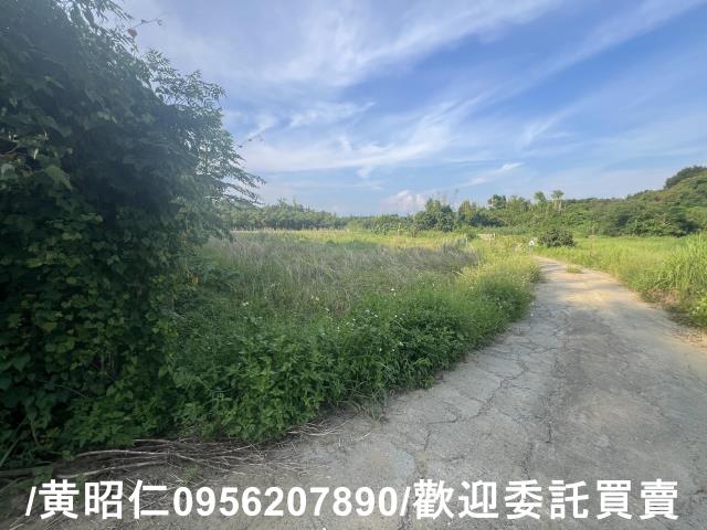 台南歸仁農地-2