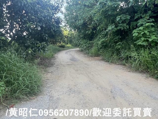 台南歸仁農地-5