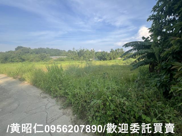 台南歸仁農地-6