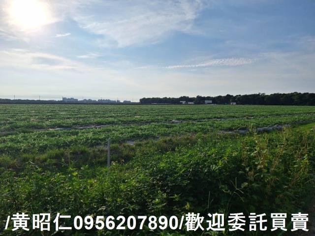 台南歸仁農地-8