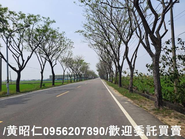 台南白河農地-9