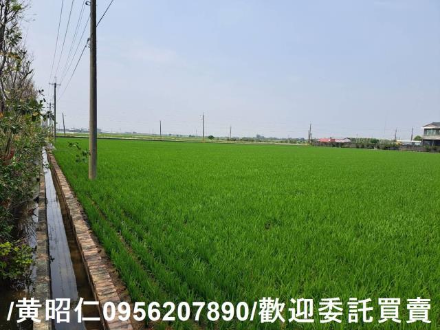 台南白河農地-3