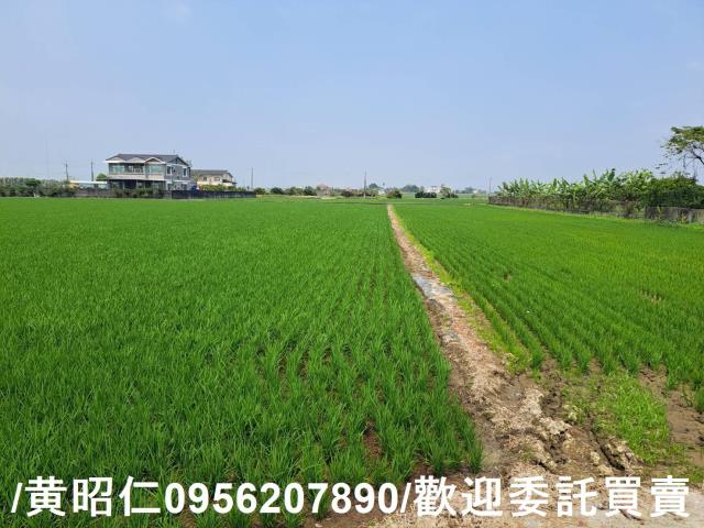 台南白河農地-4
