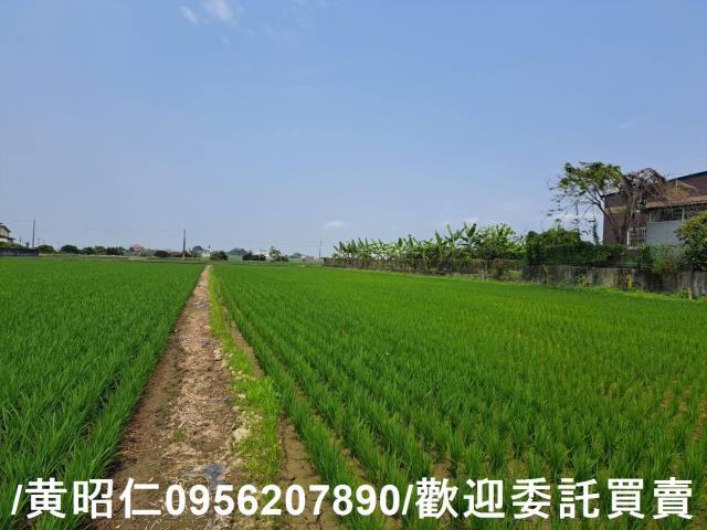 台南白河農地-5