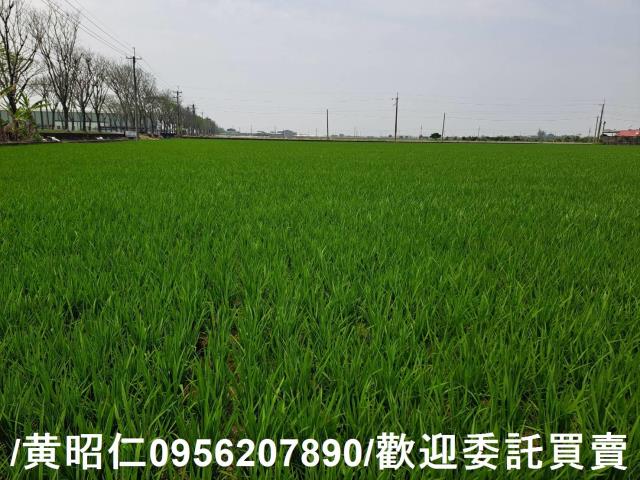 台南白河農地-6