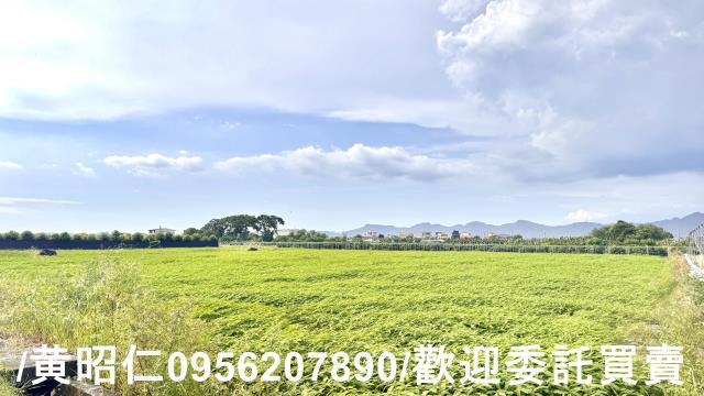 高雄農地-8