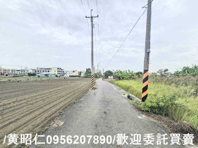 安南農地-5