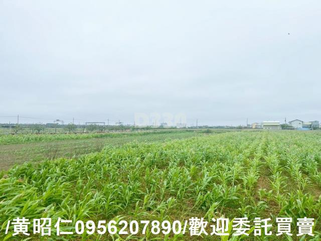 台南農地-9