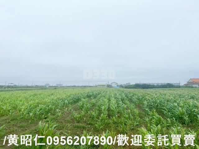 台南農地-0