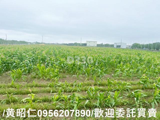 台南農地-7