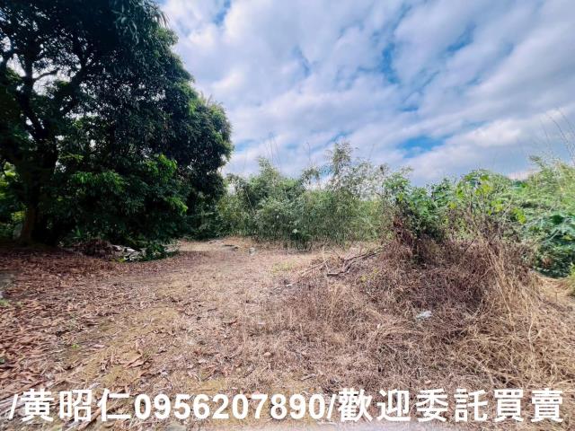 台南農地-13