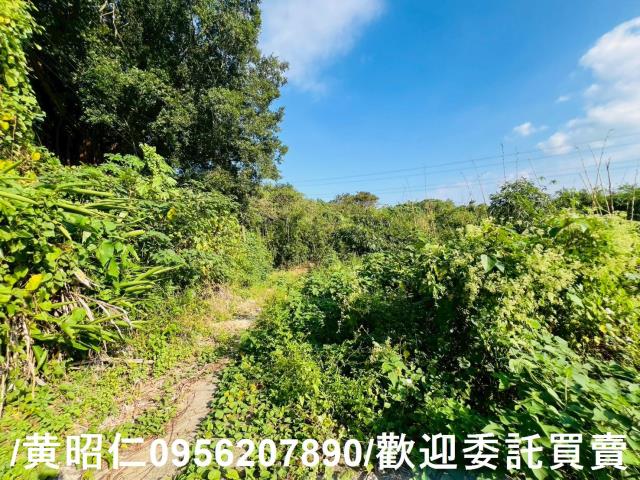 台南農地-9