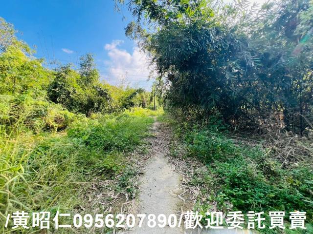 台南農地-6