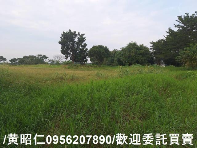 台南農地-0