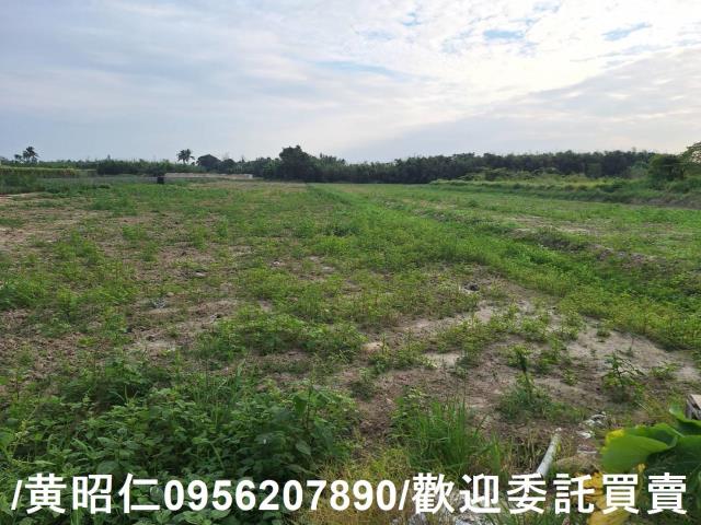 台南農地-1