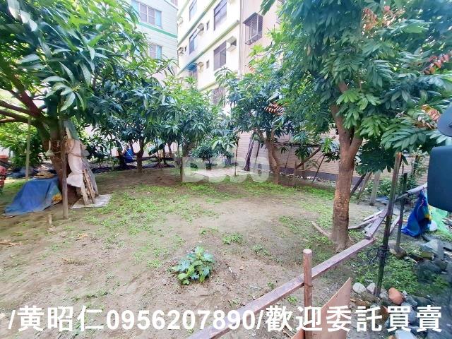 台南安平建地-0