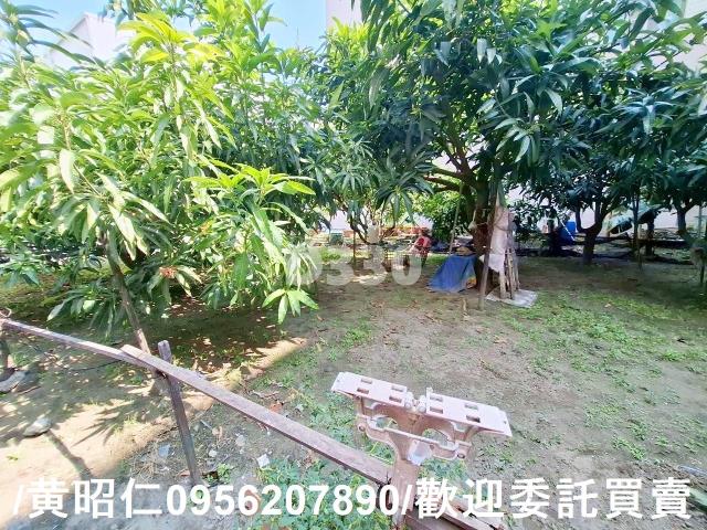 台南安平建地-2