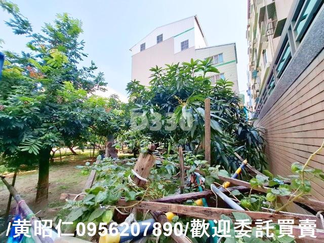 台南安平建地-6