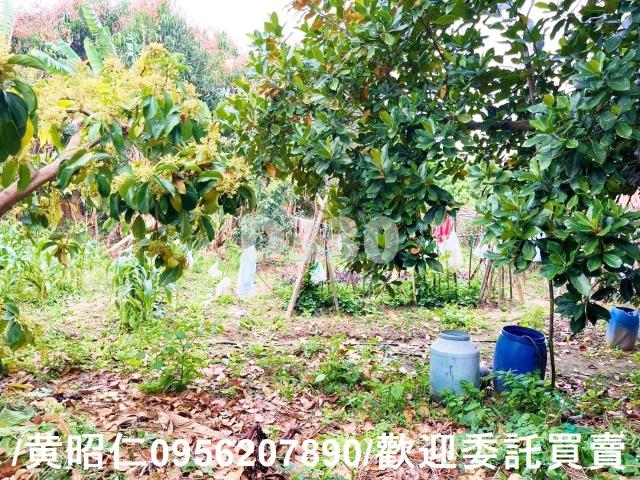 台南佳里建地-6