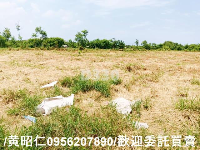 台南安南農地-0