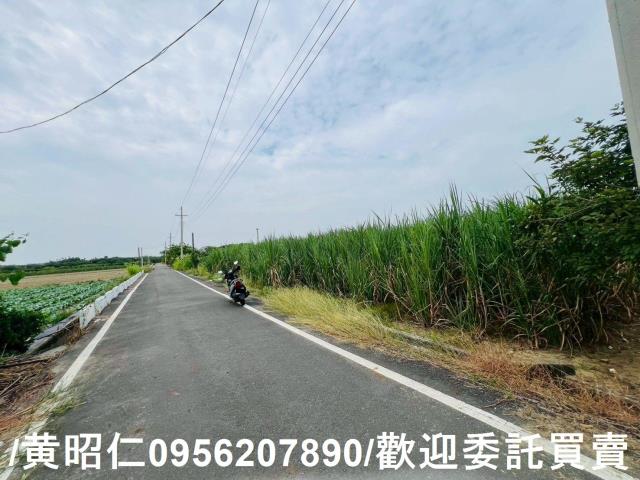 台南善化農地-0