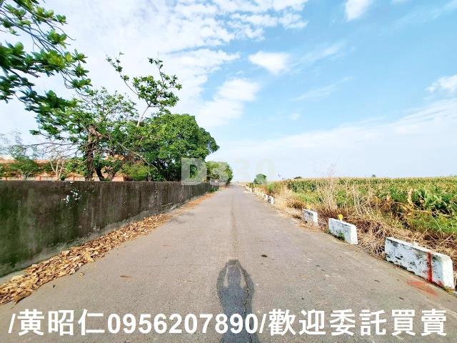 台南七股農地-4