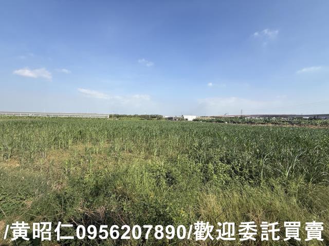 台南永康農地-0
