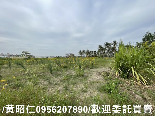 台南永康農地-2