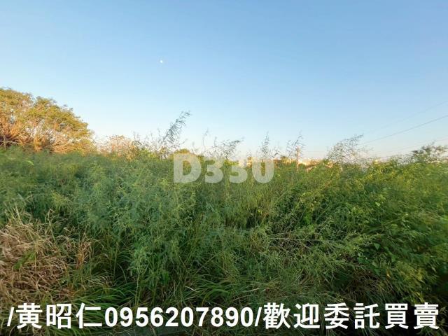 台南七股建地-4