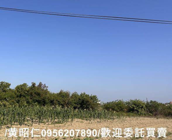 台南安南農地-4
