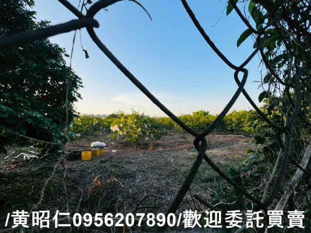 台南農地-6
