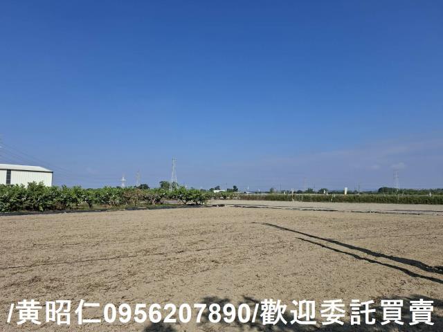 台南農地-4