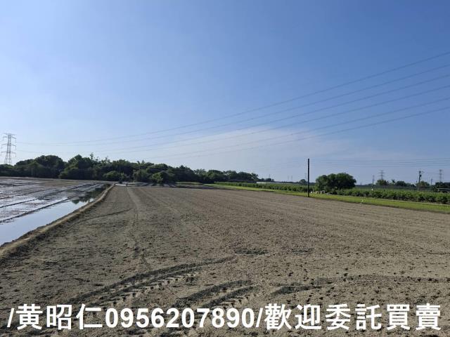台南農地-6