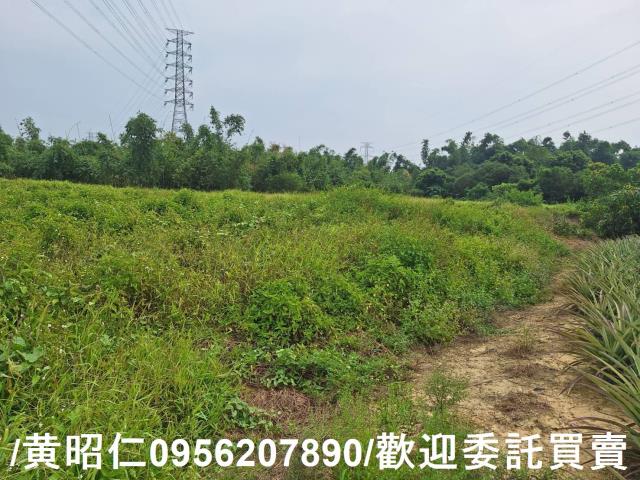關廟農地-7