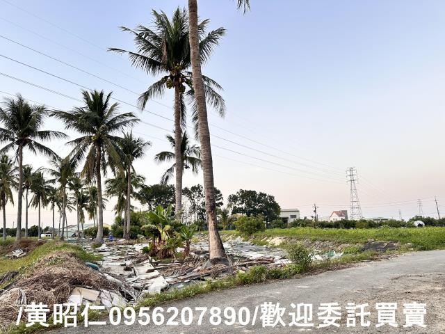 台南仁德農地-8