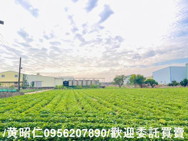 新化農地-7