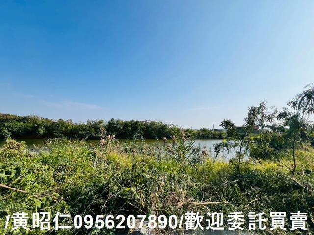 台南安南農地-2