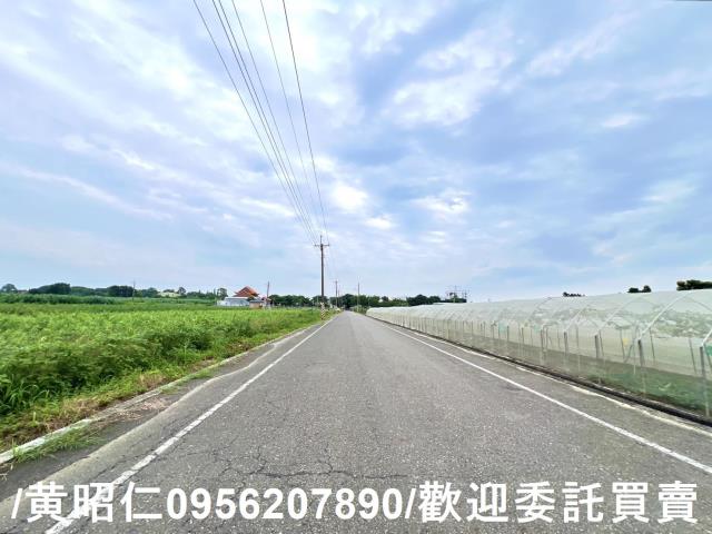 台南善化農地-0