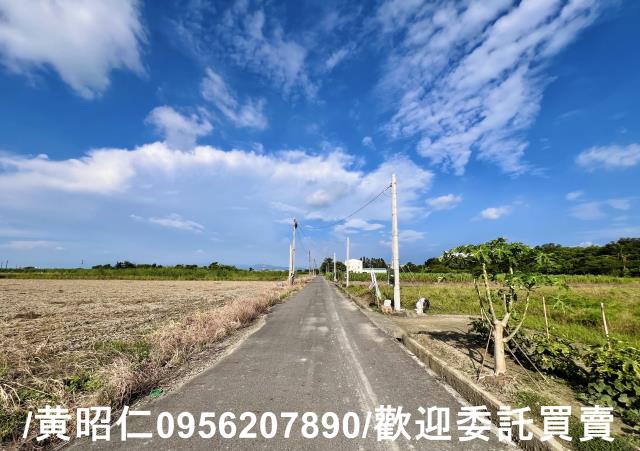 台南善化農地-1