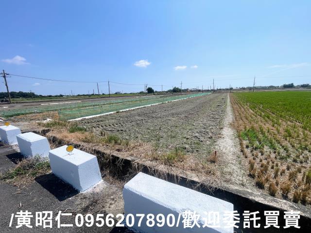 台南農地-6