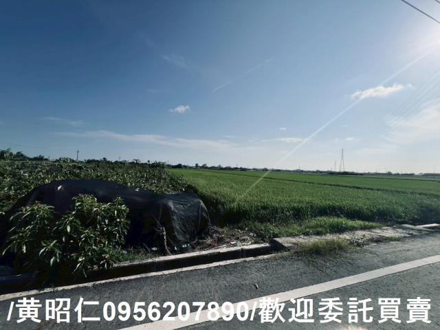 台南農地-5