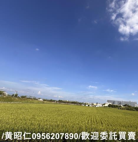 台南農地-5