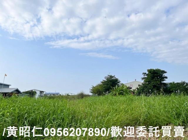 台南農地-4